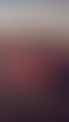 The Million Dollar Paperweight.