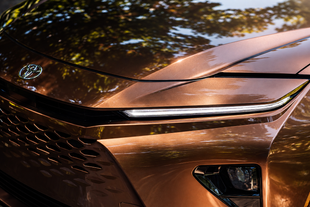 Copper Toyota Crown in Sunlit Greenery-3