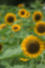 20220811_0094_original