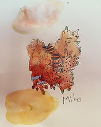 The Jellyfish Blob.jpg