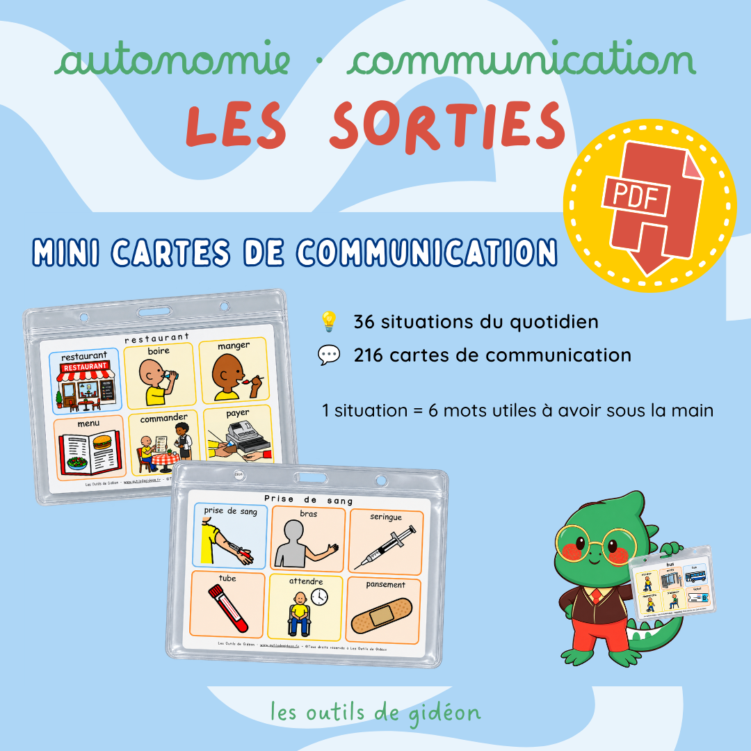 Mini cartes communication · Sorties