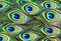 AdobeStock_68940341.jpeg