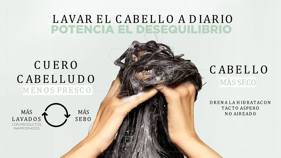 serum cuero cabelludo alcampo granada kerastase peluqueria metropolis granada