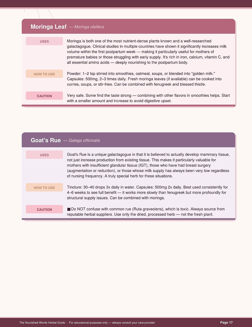 Thumbnail: The Nourished Womb Herbal Guide!