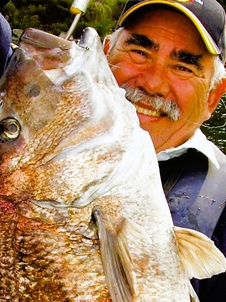 'A Fish Full of Dollars' The Movie is coming...