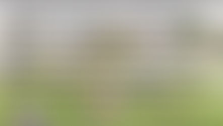 Thinking of joining our Bootcamp?