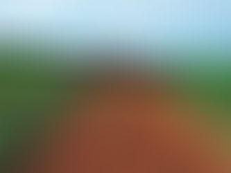 El agro será de los grandes ganadores del TLC: Sagarpa