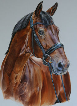 FAME for Carl Hester