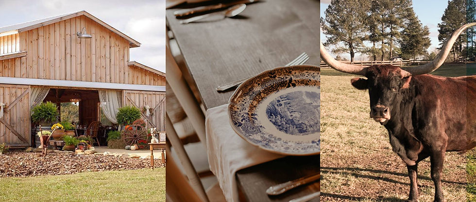 Vintage Oaks Farm.jpg