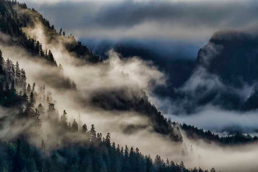 Great Bear Rainforest, British Columbia, Canada landscape