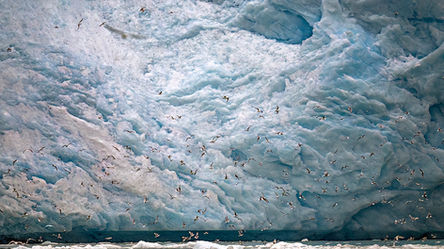 SVALBARD ICE _Z912413 copy