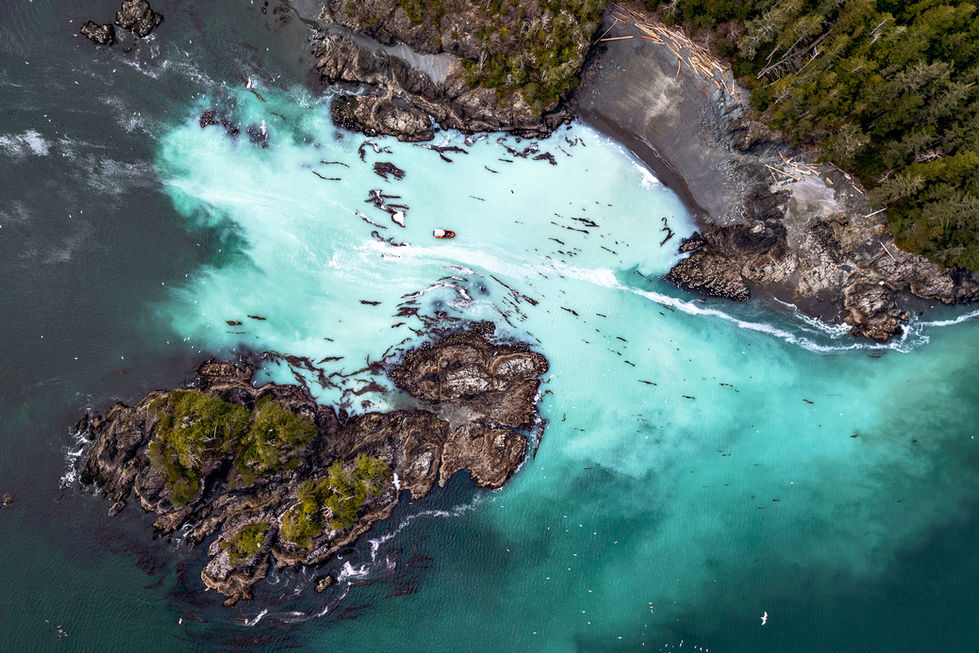 Herring run aerial  British Columbia, Canada