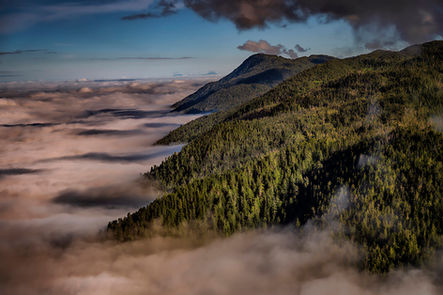 Khutzeymateen Grizzly Bear Sanctuary, British Columbia, Canada