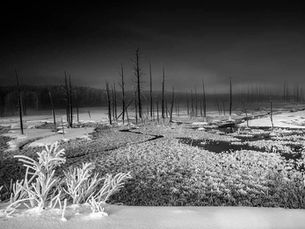 The Magic of Yellowstone