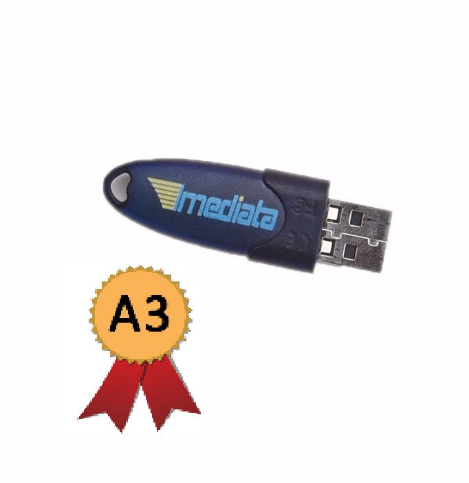 E-CPF A3 - 1 ANO - TOKEN - UBÁ