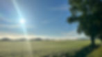 IMG_0287.jpeg