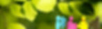 teambuilding.jpg
