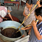 Procedimiento Xicaru Pechuga Mole