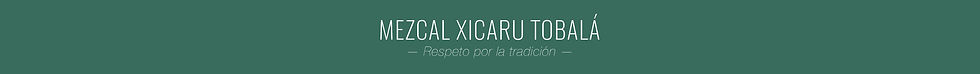 Banner Mezcal Xicaru Tobala