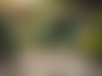 Transforming Outdoor Spaces: Colorado Springs Landscaping Services