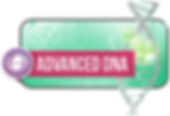 advanced (1).png