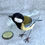 Thumbnail: Textile Sculpture Bird ~ Great Tit