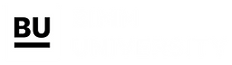 BIMM University logo_minus strap_master-02.png