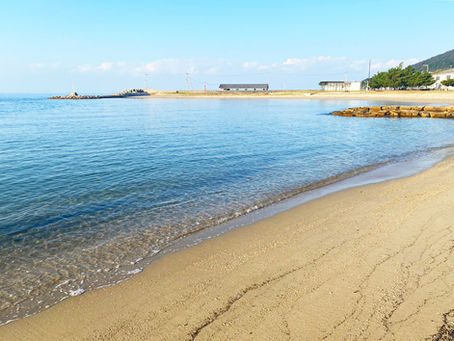 海水浴シーズン到来!
