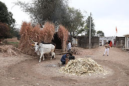hotels in rajasthan india