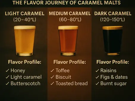 Roasted to Perfection: The Story Behind Beer's Caramel Flavors
