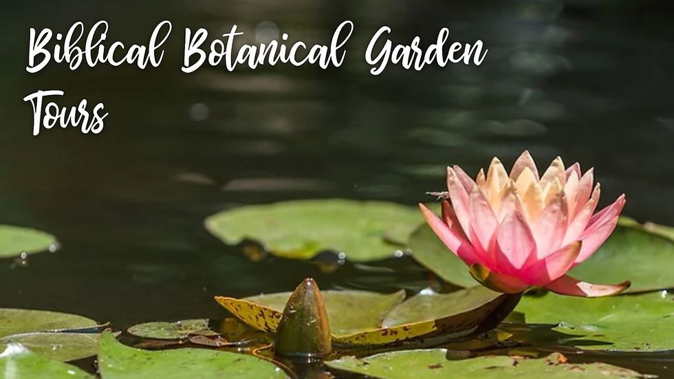 Biblical Garden Docent Led Tour