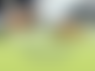 SAT aumenta recaudación de impuestos