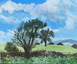A Walk in Derbyshire