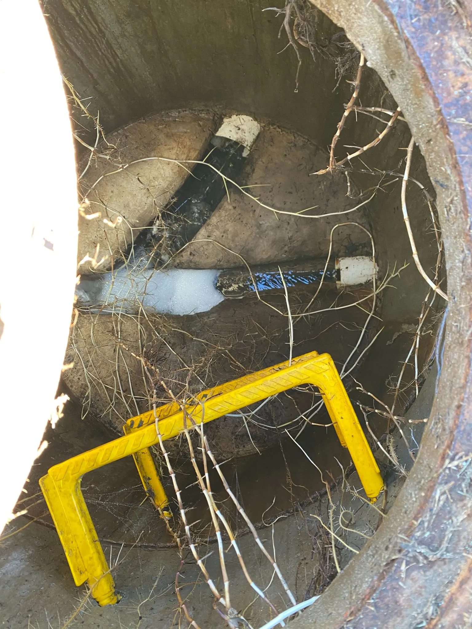 Sewer manhole with heavy tree root growth blocking a commercial drain in Melbourne south-east