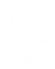 Untitled design (2).png
