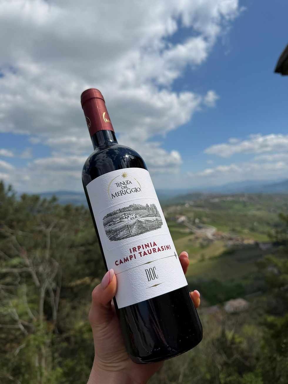Bottiglia di aglianico Irpinia Colli Taurasini DOC