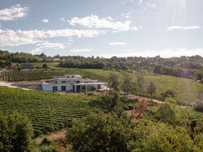 Tenuta del Meriggio in Irpinia Campi Taurasini