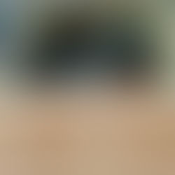 亀が鼻の穴全開で爆睡