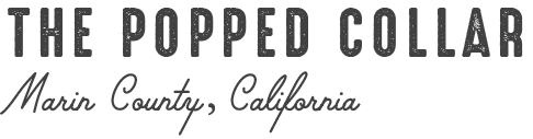 The Popped Collar Project Title