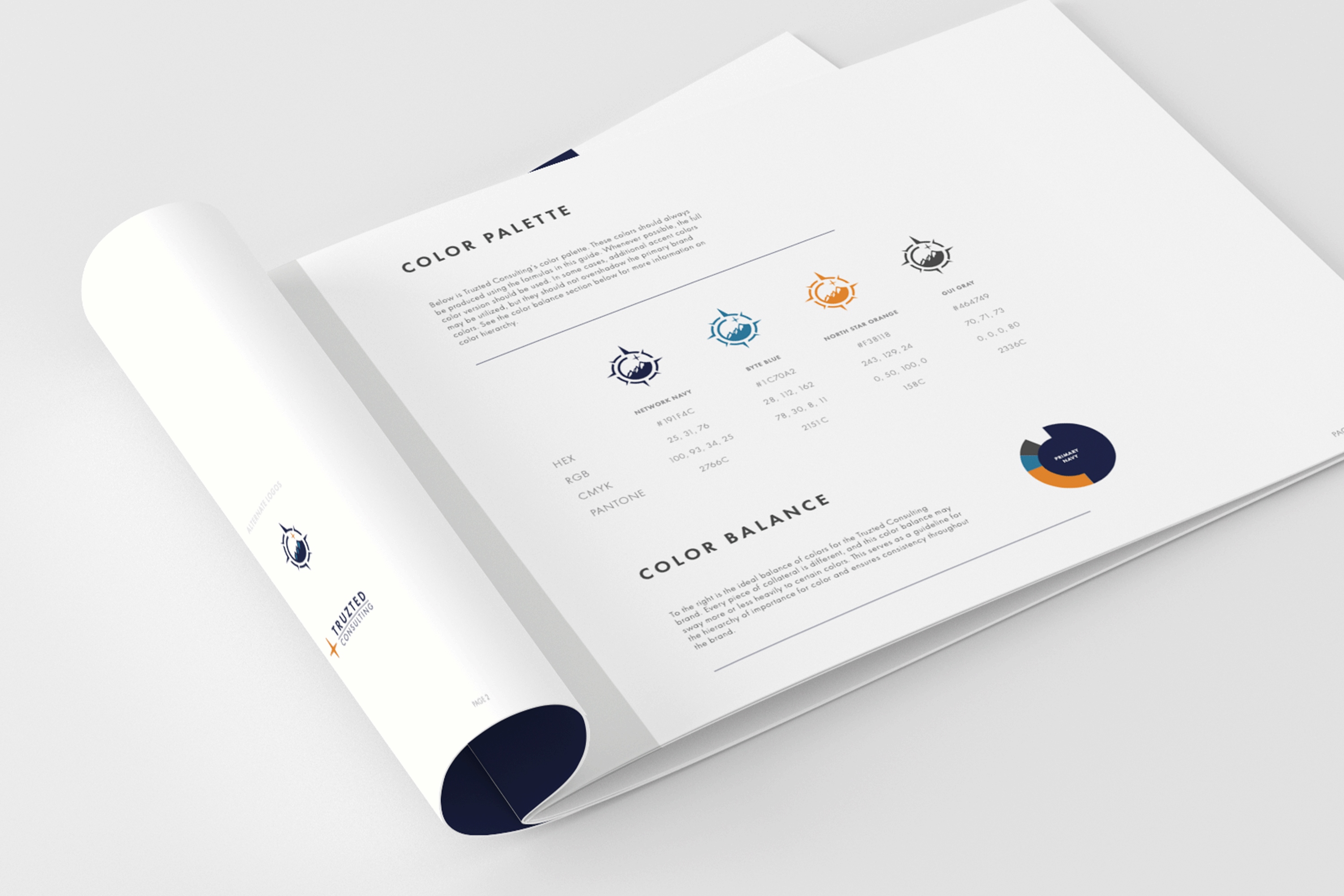 Truzted Consulting Brand Guide