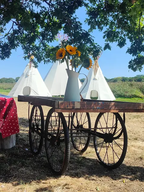 7 picnic for kids at most magical summer location west sussex outdoors children's camp sta