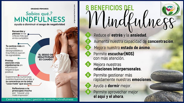 mindfulness lamina 2.jpg