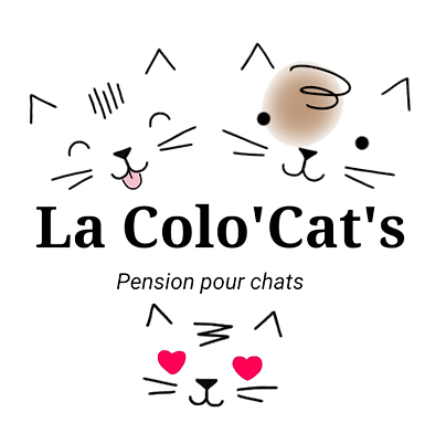 Logo de la pension pour chats LA COLO'CAT'S