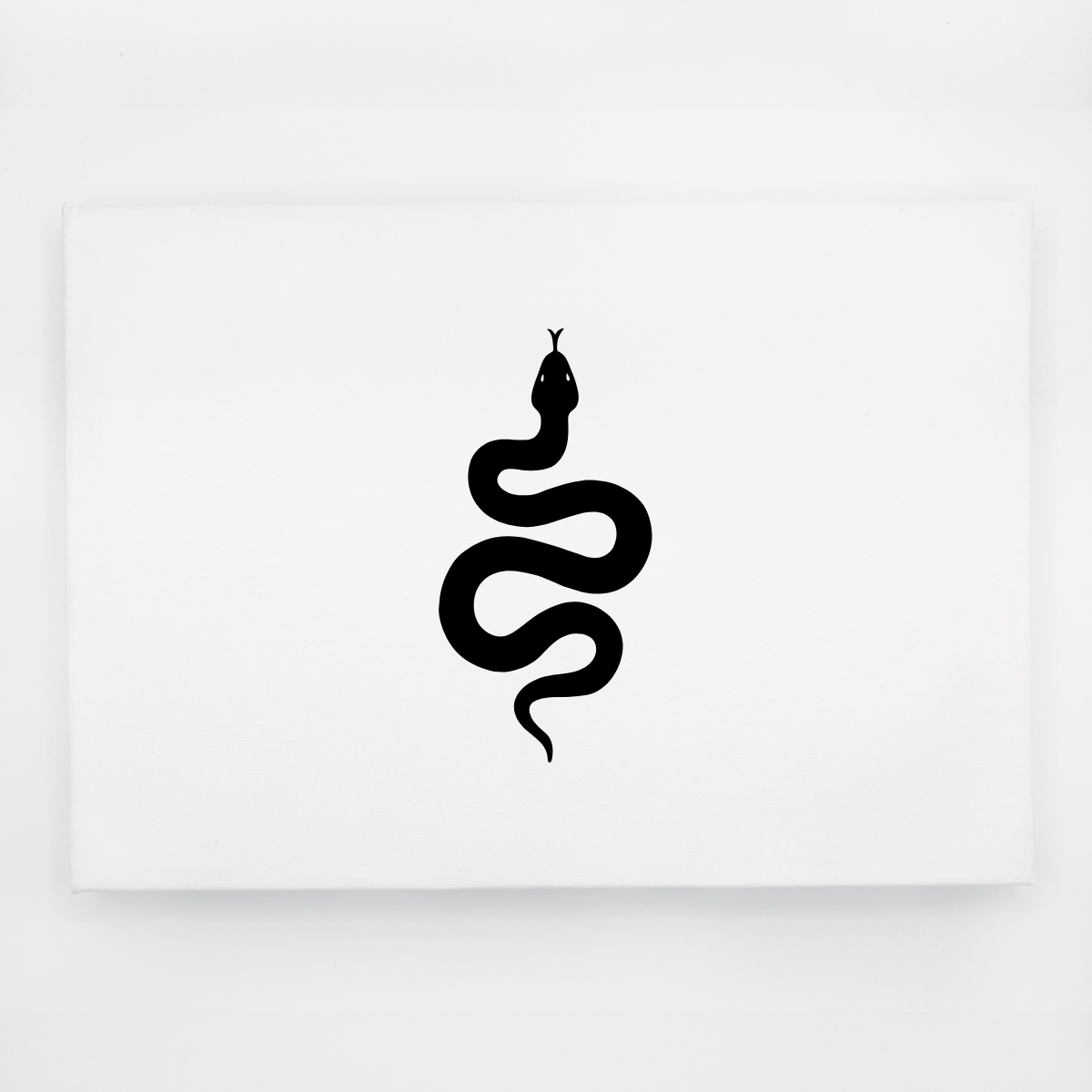Snake Silhouette Video Keepsake