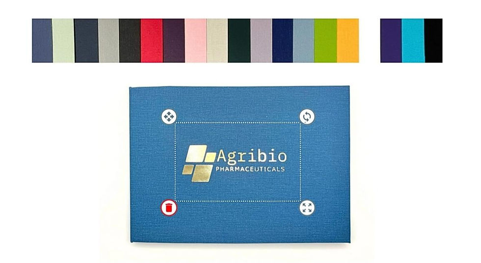 Gallery of custom video books in various colors and imprint styles, showing customization options for business branding.