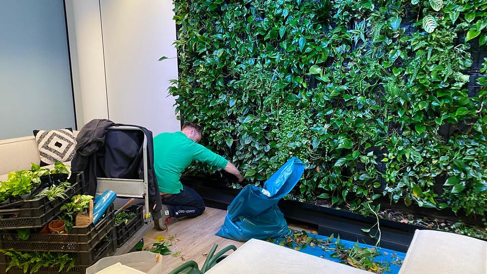 living wall maintenance