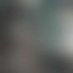 モンゴル災害情報の共有と支援の呼びかけ