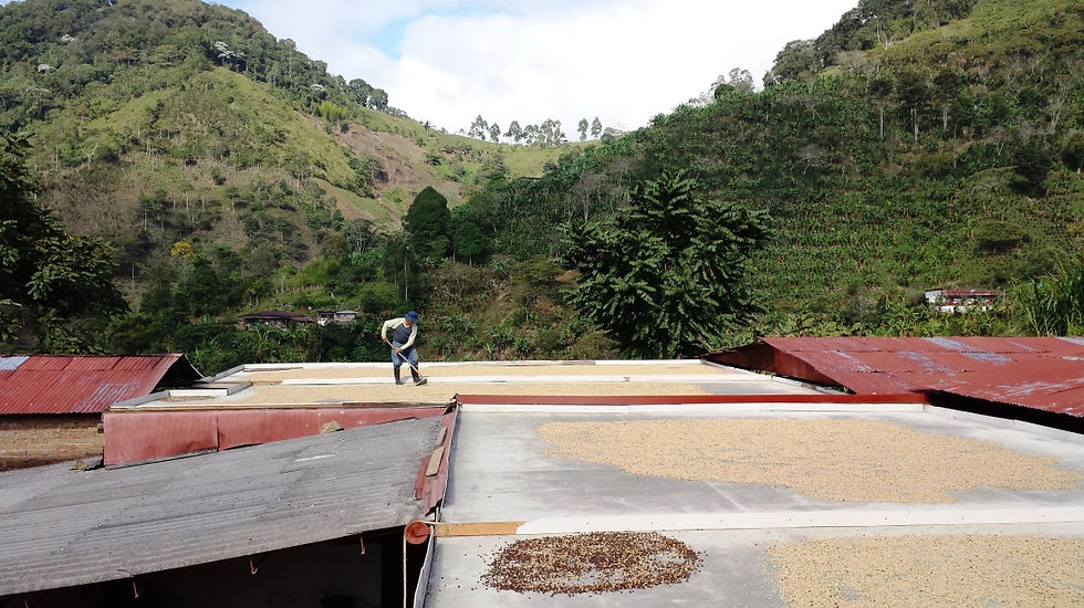 Thumbnail: El Cacique