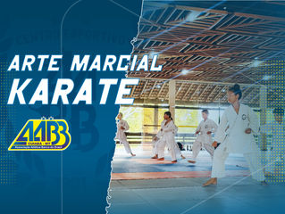 Arte Marcial Karatê