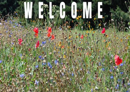 greenpond umc_edited.jpg